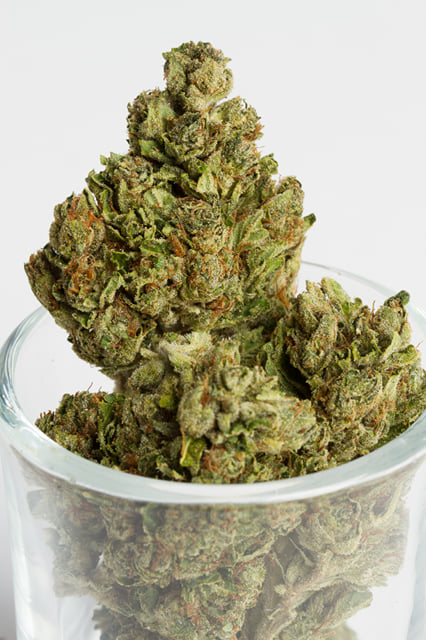 Happy Dream OG