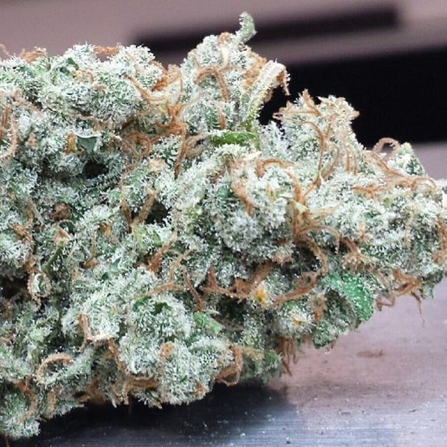 XJ-13