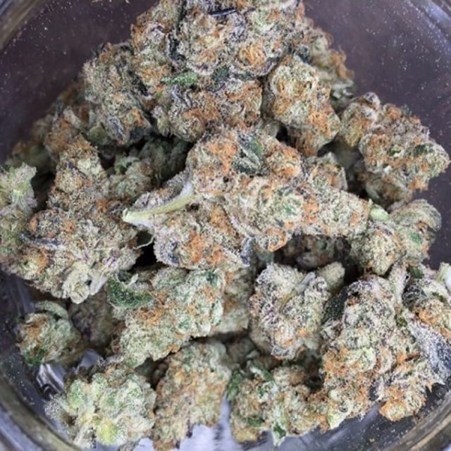 *FRESH BATCH* PLAT.GIRL SCOUT COOKIES