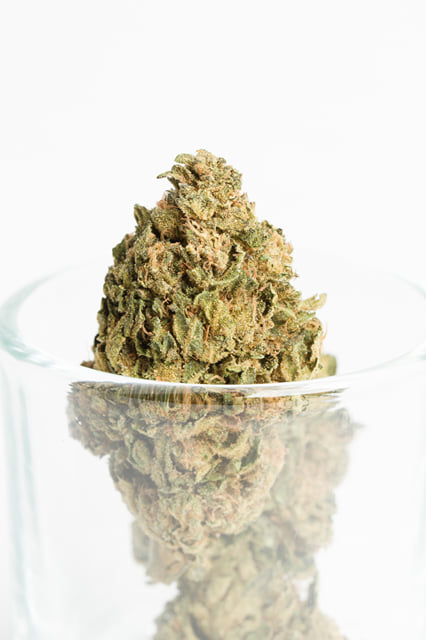 Girl Scout Cookies