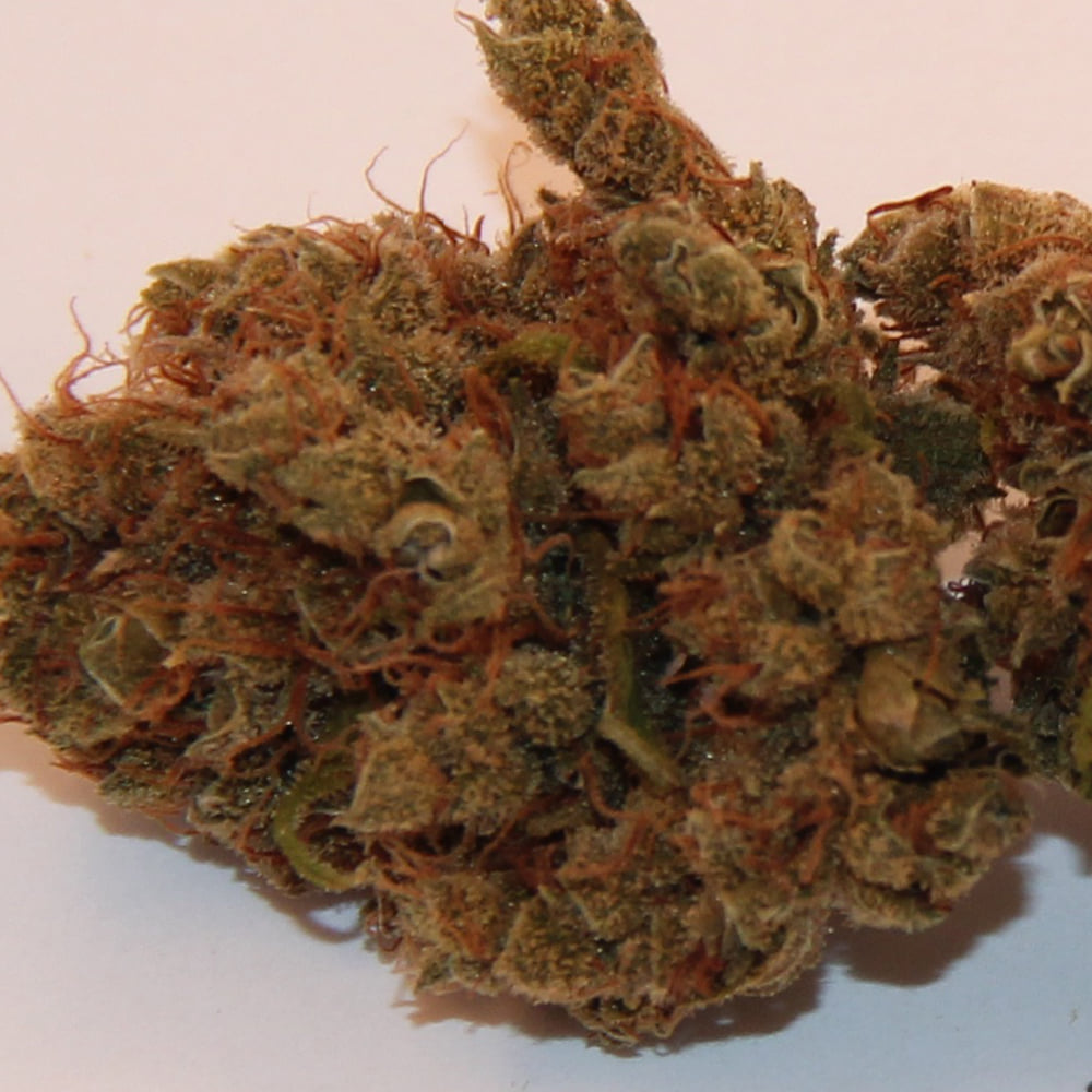 Dutch Treat