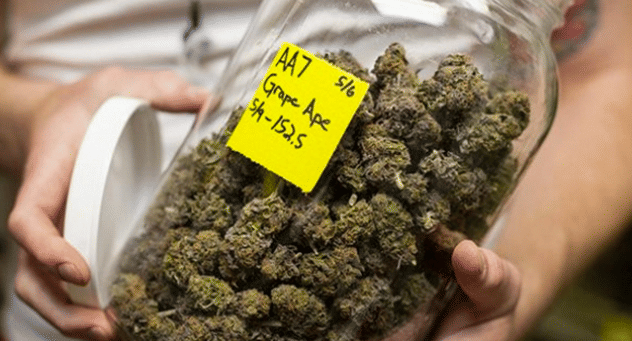 Grape Ape