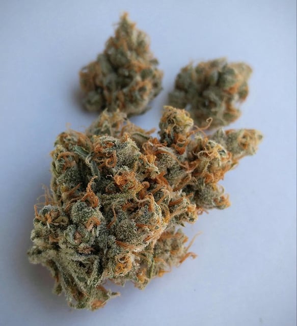 Silver Haze