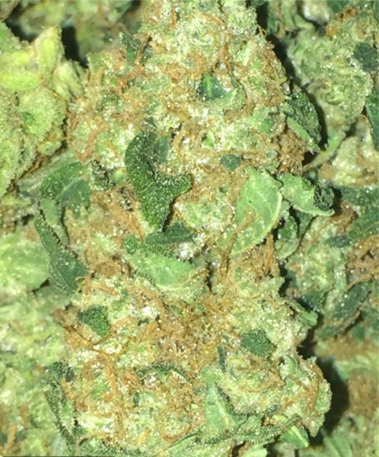 Sour Diesel