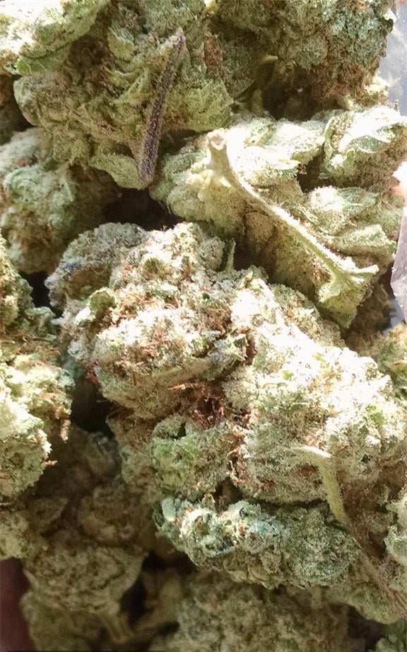 Sour Cheese