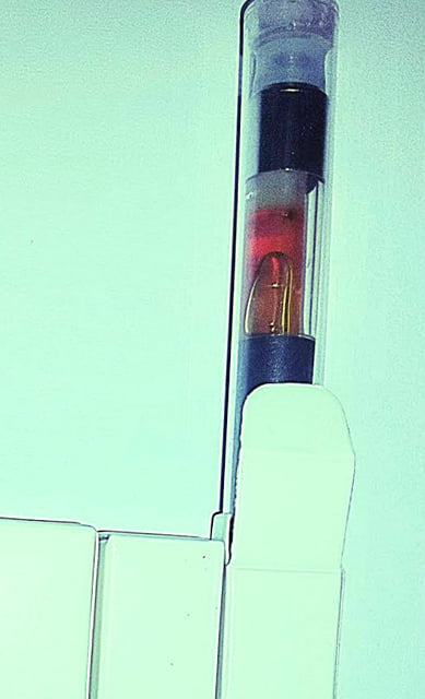 Sherbet Pure Oil Vape Cartridge 1 Gram