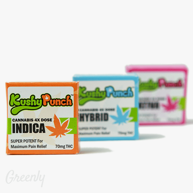 Kushy Punch - Gummies (100mg THC) (S)