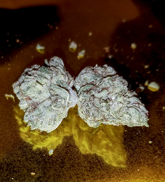 LEMON PIE ORGANIC (TOP SHELF)
