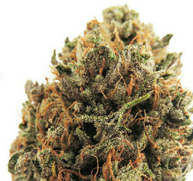 BERRY COBBLER