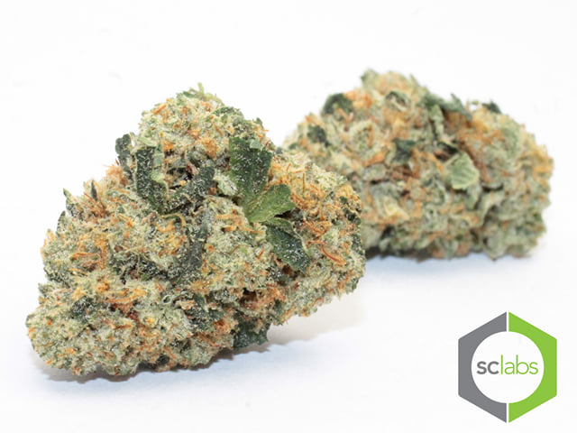 SFV OG