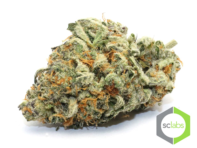 Mendo Breath
