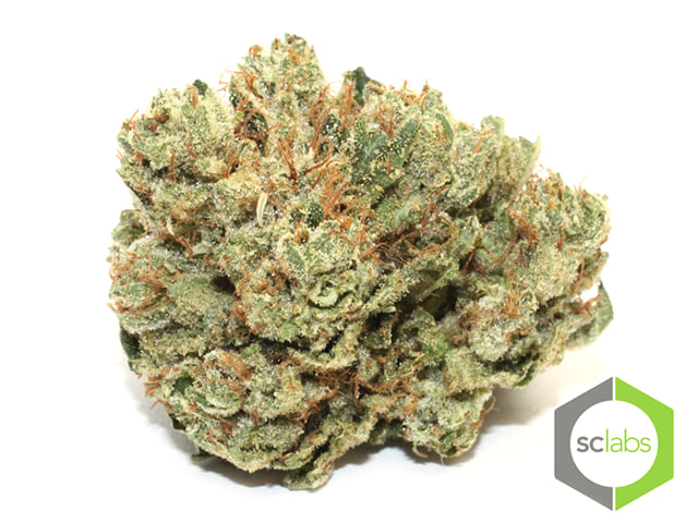 Tesla OG