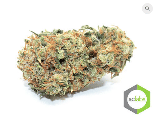 Northern Lights