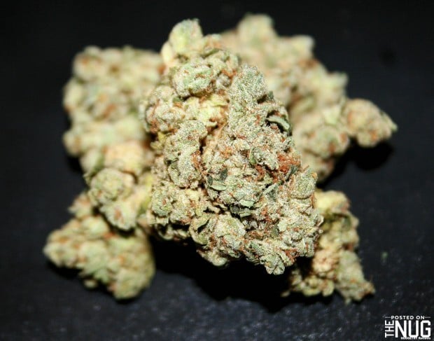 Los Angeles OG Kush