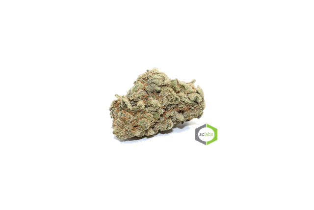213 OG KUSH