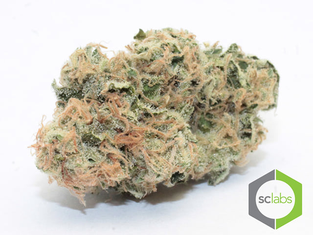 Grape Kush
