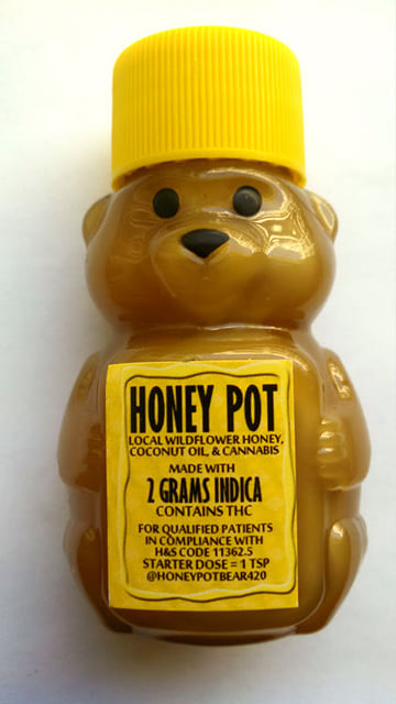 Honey Pot Bear Indica