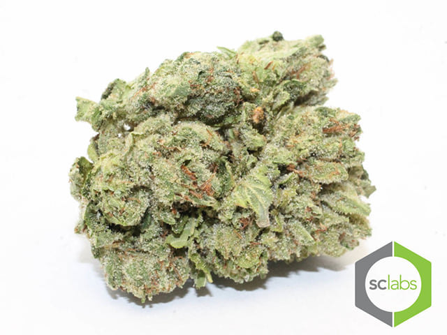 Darth Vader OG