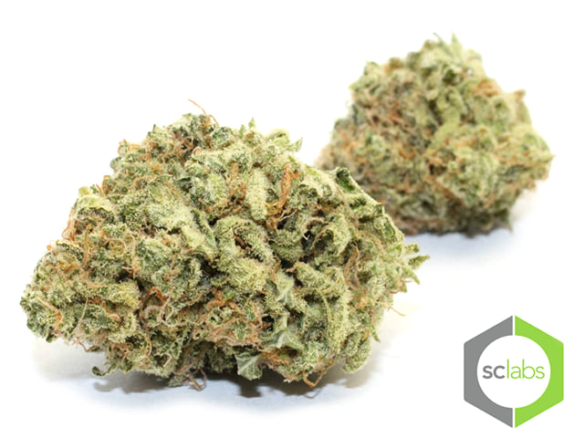 Tangie