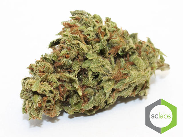 Cherry AK-47