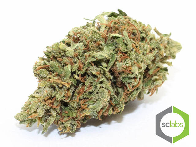 Snowcap