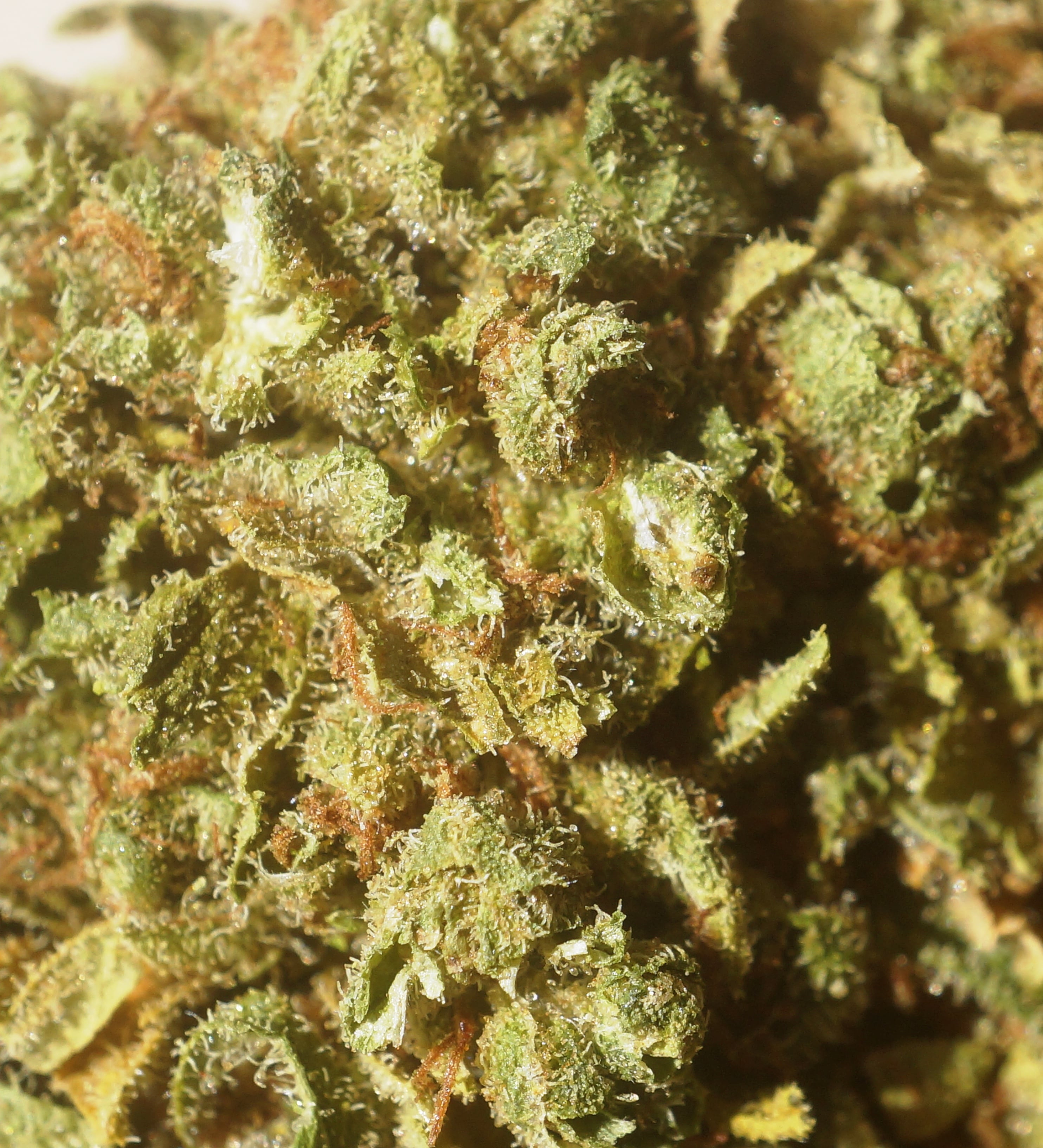 Landos Stash