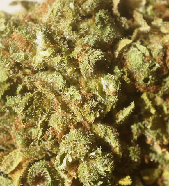 Landos Stash