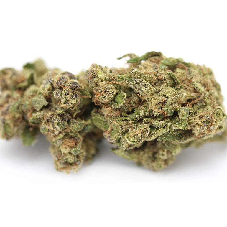 Sunshine Special Blueberry Muffin