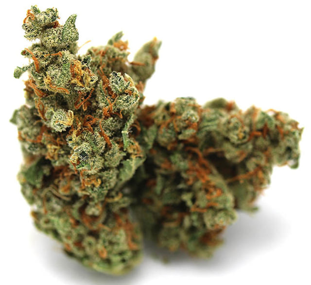 Jack Herer
