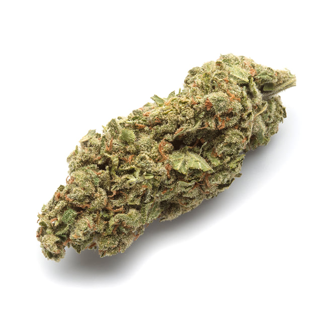 Jack Frost - Sungrown