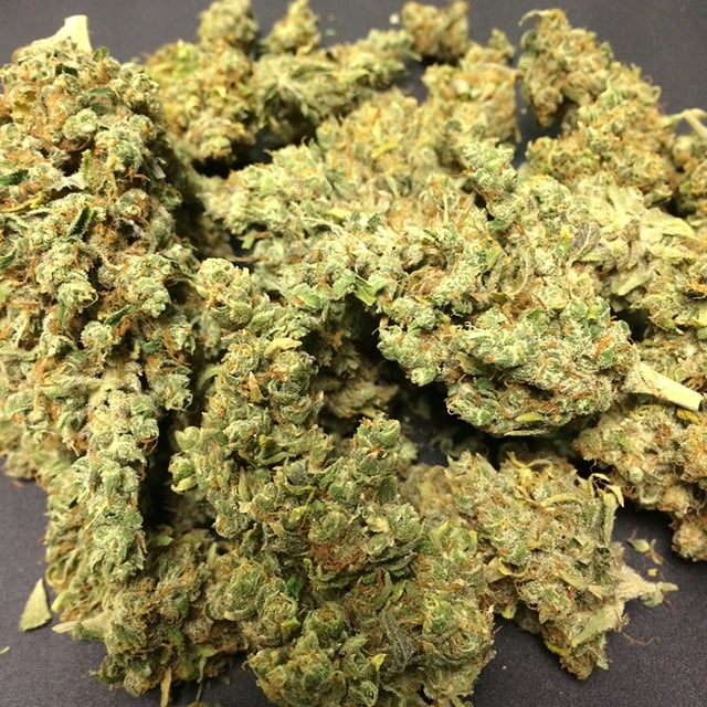 Cannalope Kush