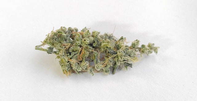 Cherry OG #2