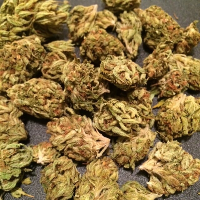 Saturn OG
