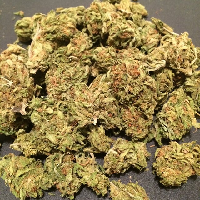 Northern Lights