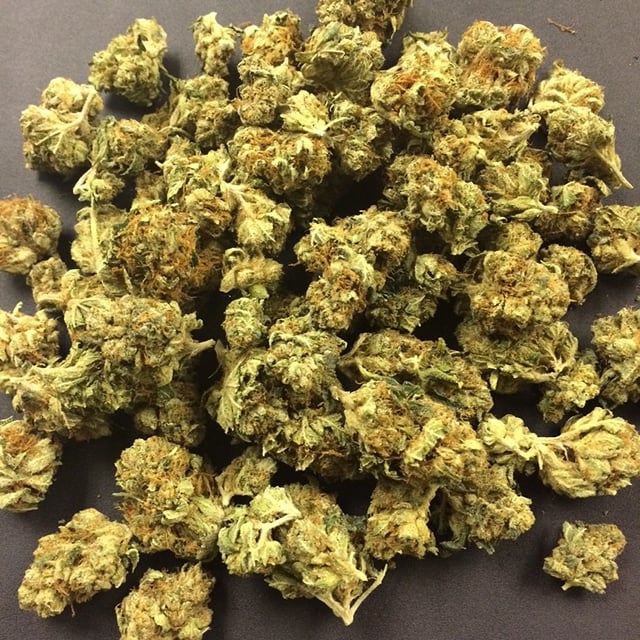 Master Bubba