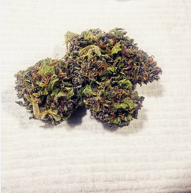 Purple Urkle