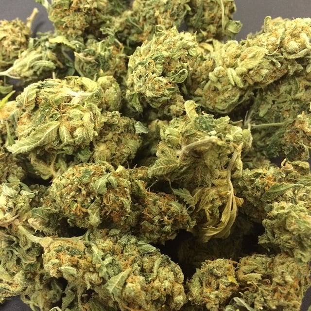 Gelato