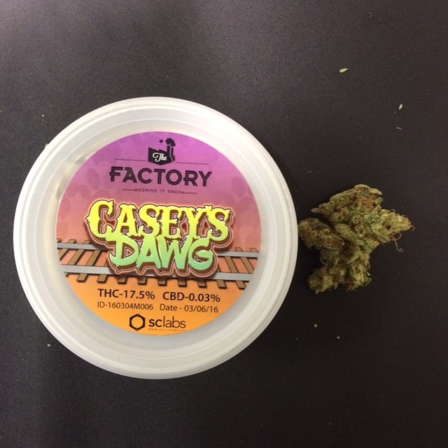 The Factory Canned Pre-Weighed Eighth