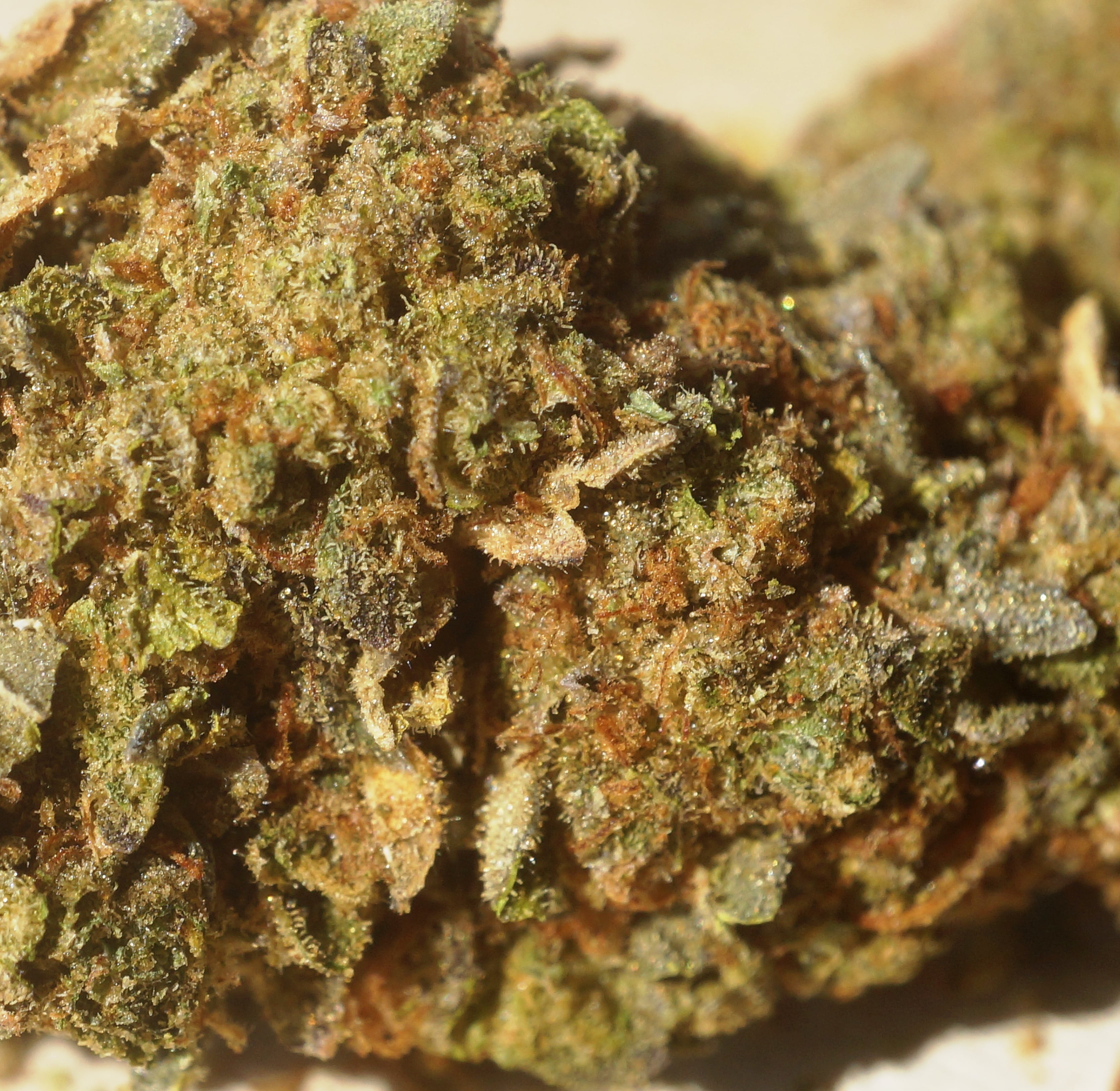 Sunset Sherbert