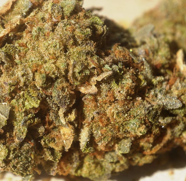 Sunset Sherbert