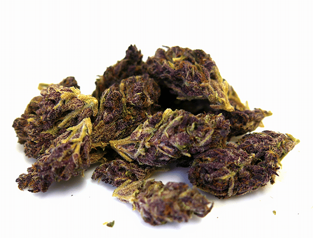 Purple Passion