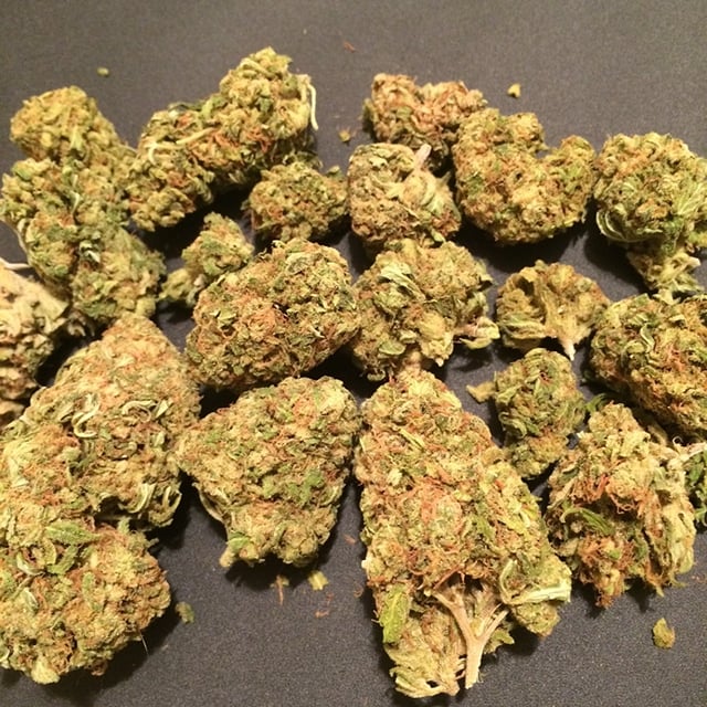 Candy Cane