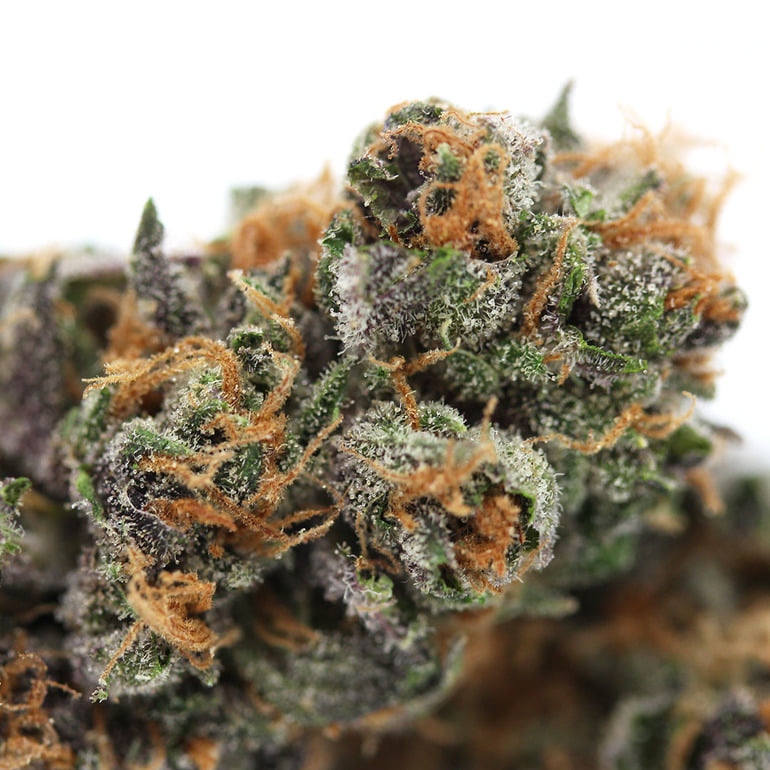 Forbidden Fruit