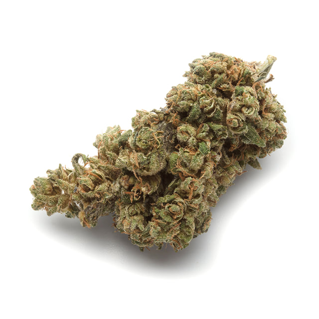The Nubia - High CBD
