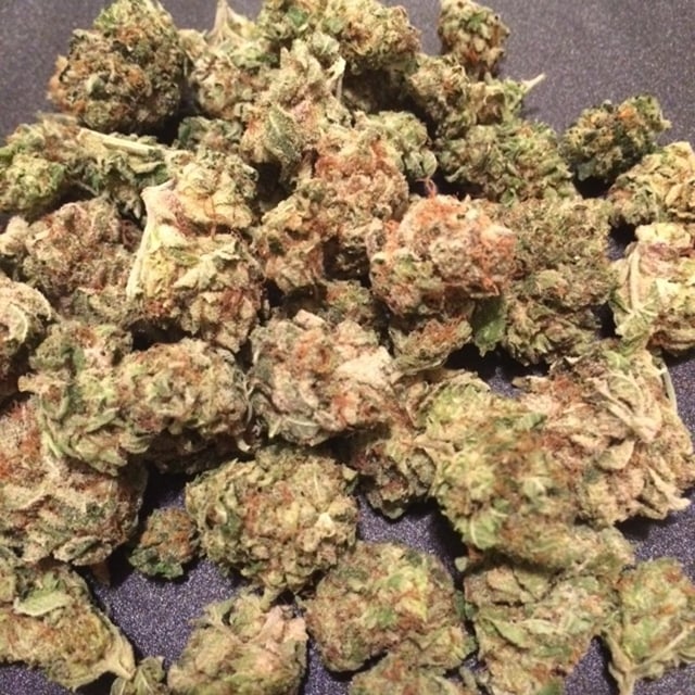 Mister Bobby Kush