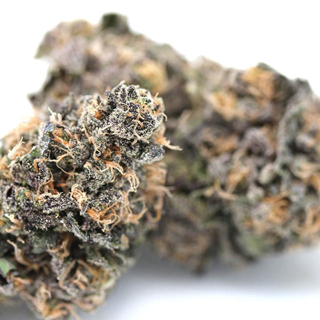 Granddaddy Purple