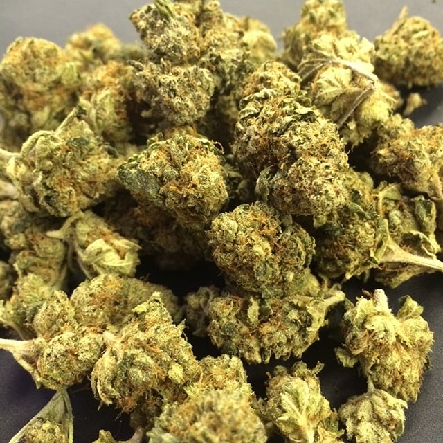 New Life Kush