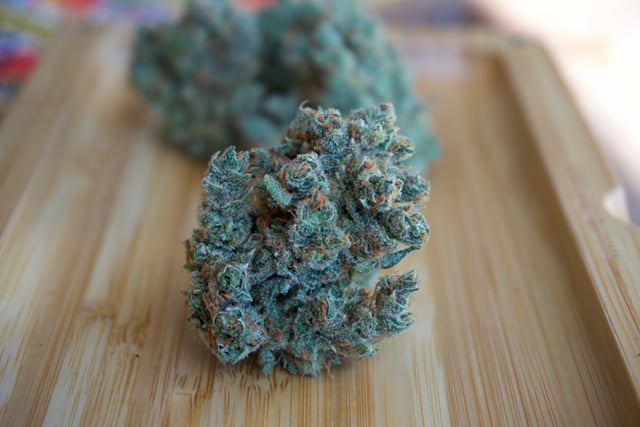 XJ-13