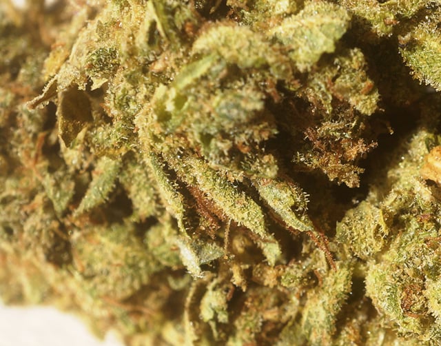 White OG