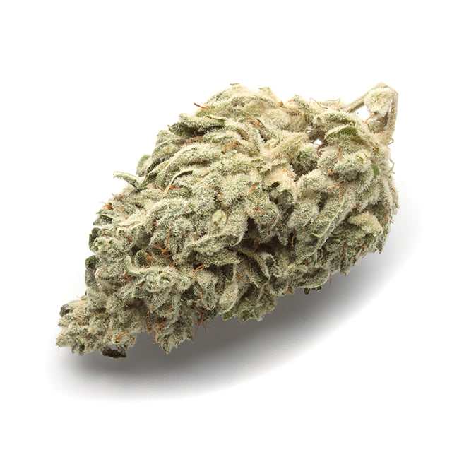 Gorilla Glue #4